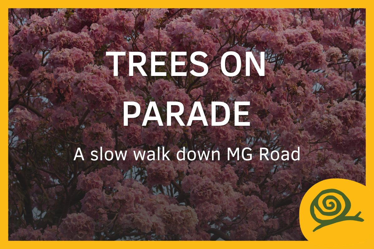 Trees on Parade: a slow walk down MG Road