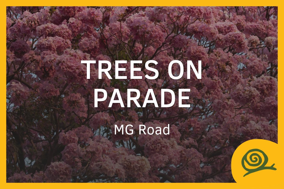 Trees on Parade: a slow walk down MG Road